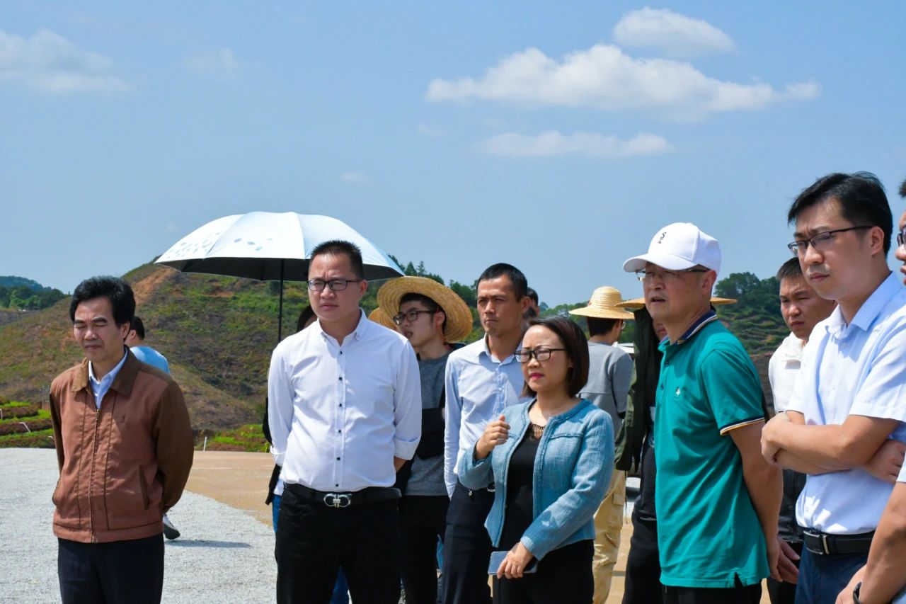 梧州市及各县扶贫办到918博天娱乐中药材现代农业融合创新发展项目基地调研2.jpg